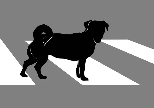 Silhouet Van Kleine Hond Jack Russell Terrier Kruising Stad Weg — Stockvector