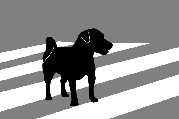 Silhouet Van Kleine Hond Jack Russell Terrier Kruising Stad Weg — Stockvector