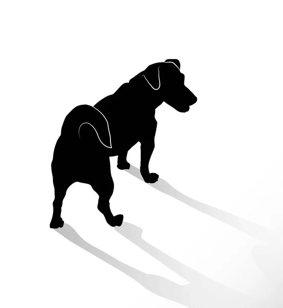 Silhouet Van Kleine Staande Honden Jack Russell Terrier Achter Bovenaanzicht — Stockvector