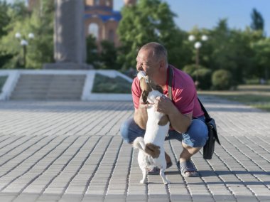 Pokrov, Ukrayna - yaz, 2018: Küçük köpek Jack Russell Terrier yalama adam köpek doğurmak bir şehir parkı. İnsan ve hayvan arasındaki dostluk kavramı