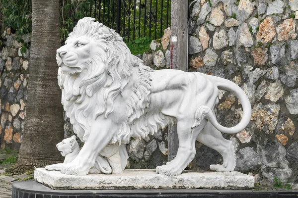 City sculpture of a lion and a lion cub at the entrance. Local landmark. Side view