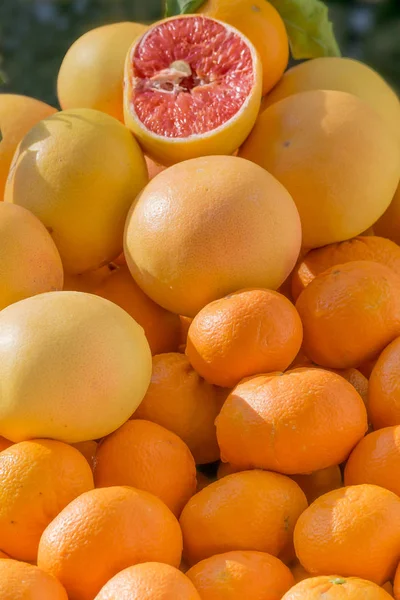 Narenciye ın Bazaarı üzerinde büyük bir yığın. Taze soyulmamış mandalina, portakal ve clementines arka plan. Sağlıklı organik gıda — Stok fotoğraf