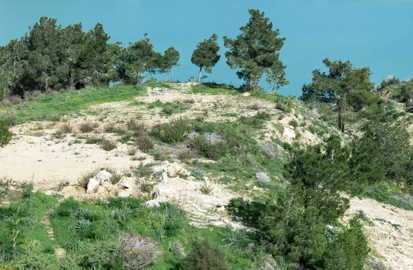 Chipre septentrional paisaje. Vista de la colina con los árboles junto al embalse de agua dulce —  Fotos de Stock