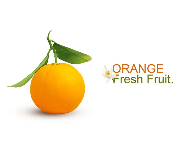 Een verse ongepelde sinaasappel citrusvruchten met groene bladeren op stam geïsoleerd op witte achtergrond. Belettering oranje vers fruit versierd met oranje bloem — Stockfoto