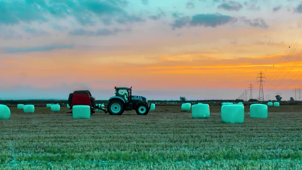 Agricultural work in a field at sunset. Equipment for forage. Film wrapping system. Round bales of feed for farm animals.