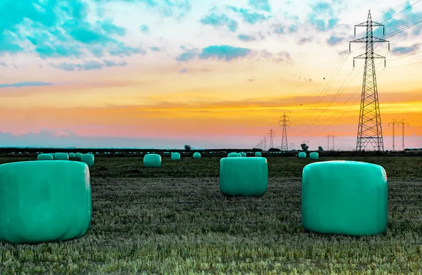 Travail agricole dans un champ au coucher du soleil. Équipement pour fourrage. Système d'emballage de film. Balles rondes d'aliments pour animaux de ferme . — Photo