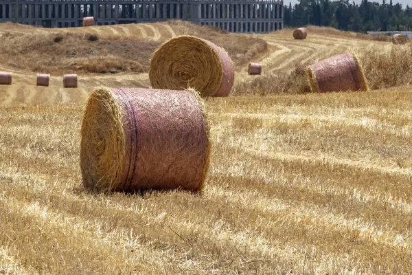 Ένα μεγάλο στρογγυλό κομμάτι άχυρο για ζωοτροφές. Τροφή για ζώα. Αγροτικό τοπίο — Φωτογραφία Αρχείου