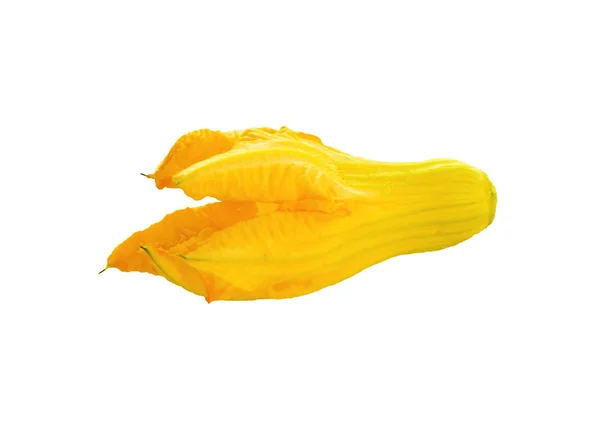 흰색 배경에 고립 된 잎과 줄기없이 노란색 오렌지 호박 꽃을 닫습니다. 식품 성분. 지중해 전통 요리 — 스톡 사진