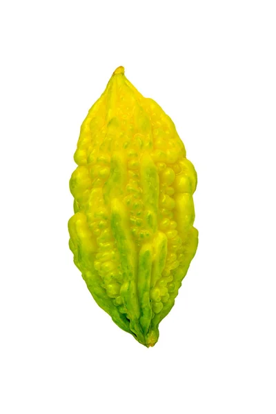 Keserű dinnye vagy őrült uborka zöldség. A fehér háttéren izolált objektum — Stock Fotó