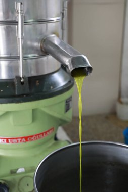 Kıbrıs, Kyrenia - Ekim 2019: Kuzey Kıbrıs 'ta çağdaş bir petrol fabrikasında zeytin yağı üretimi süreci. Paslanmaz bir borudan taze zeytin yağı dökülüyor.