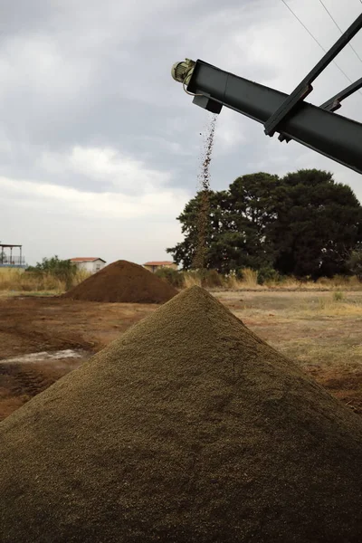El proceso de producción de aceite de oliva en una fábrica de aceite moderna en el norte de Chipre. Producción de residuos las semillas secas fragmentadas —  Fotos de Stock
