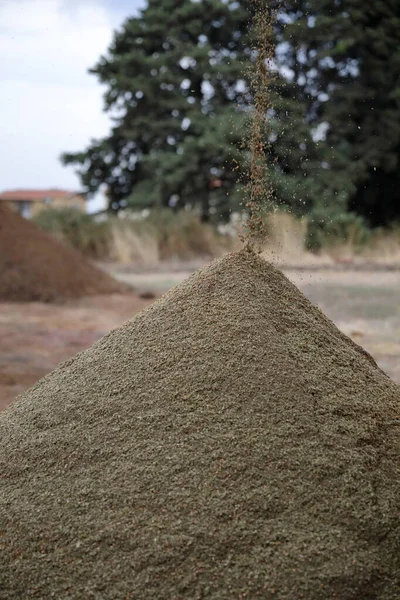 Kuzey Kıbrıs 'taki modern bir petrol fabrikasında zeytin yağı üretme süreci. Kuru tohumların atık üretimi