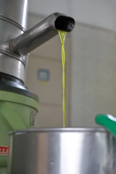 El proceso de producción de aceite de oliva en una fábrica de aceite moderna en el norte de Chipre. Aceite de oliva fresco procedente de una tubería de acero inoxidable — Foto de Stock