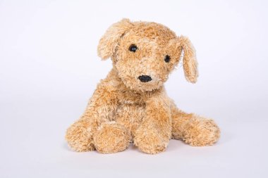Açık renkli izole yumuşak oyuncak köpek.