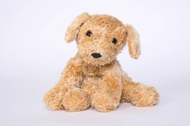 Beyaz arka plan üzerinde izole köpek oyuncak.