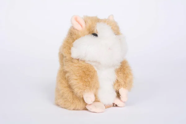 Hamster Soft Toy White Background — Stock Photo, Image