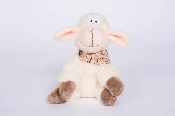 Soft Toy Sheep White Background — Stock Photo, Image