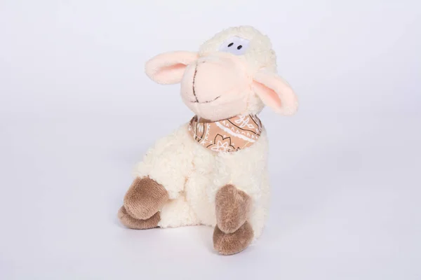 Soft Toy Sheep White Background — Stock Photo, Image