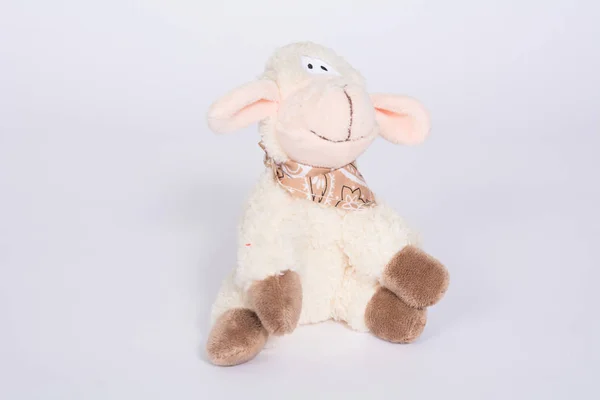 Soft Toy Sheep White Background — Stock Photo, Image