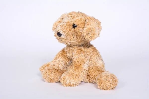 Mainan Dogie Lembut Terisolasi Pada Latar Belakang Cahaya — Stok Foto