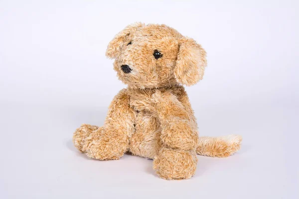 Old Soft Toy Dog Terisolasi Latar Belakang Putih — Stok Foto