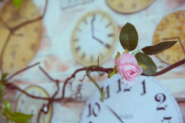 Διακοσμητικό τριαντάφυλλο ενάντια στο ρολόι τοίχου υπόβαθρο στο εσωτερικό του δωματίου — Φωτογραφία Αρχείου