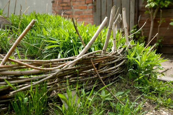 Oud Wicker Van Takken Heg Voor Bloemperken Met Groen Gras — Stockfoto