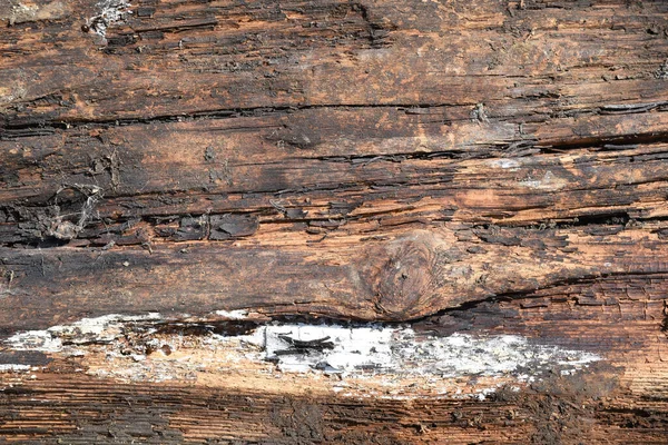 Tahtanın Eski Çürümüş Yüzeyi Ahşap Dokular Reklam Konsepti Için Yer — Stok fotoğraf