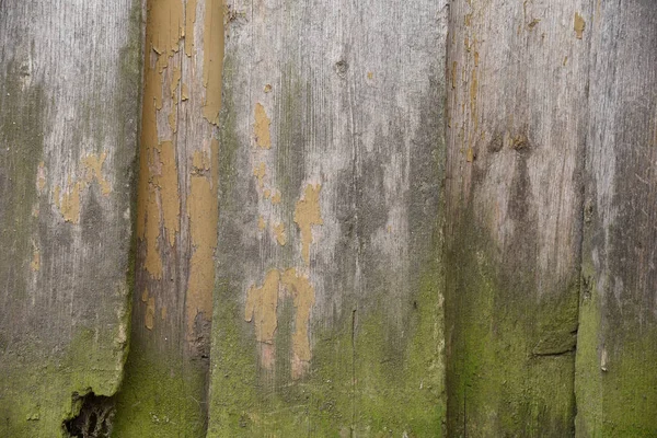 Background Old Wooden Boards Top Gray Bottom Green Mold Wood — Stock Photo, Image