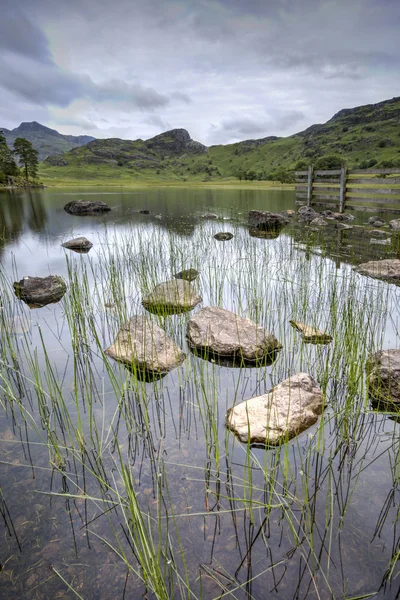 Blea Tarn — Fotografie, imagine de stoc