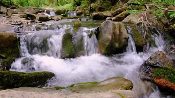 在波兰喀尔巴阡山的一条小溪上的梯级 — 图库视频影像