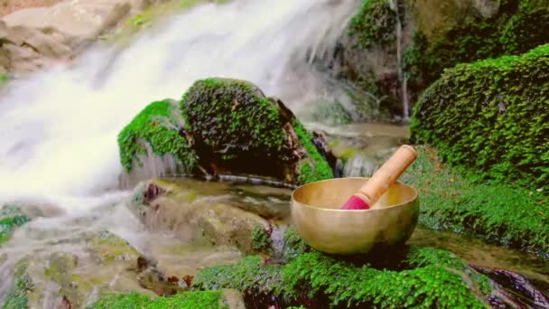 Tazón Canto Del Himalaya Sobre Piedras Cubiertas Vegetación Agua Fondo — Vídeo de stock