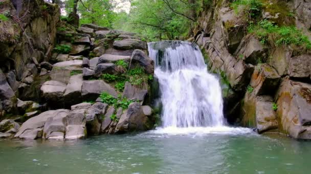 Waterfall Carpathian Mountains — Stock Video