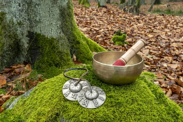 Himalayan Singing Bowl Tingsha Bells Photographed Forest Stone Covered Mosses — Stock Photo, Image