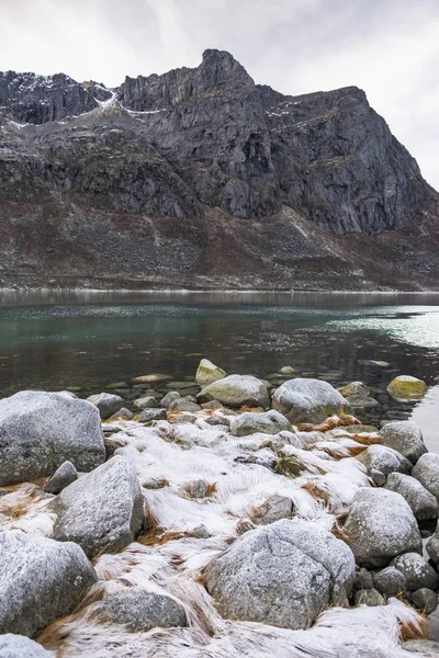 Troms ilçesinde bir fiyort kıyısında Frost ile kaplı taşlar ve çim, Norveç