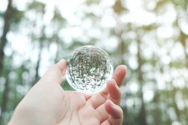 Dünyayı kurtar. Dünya günü. Enerji tasarrufu. Dünyayı kurtar kavramı. Doğa Çam Parkı 'nda kristal cam küre