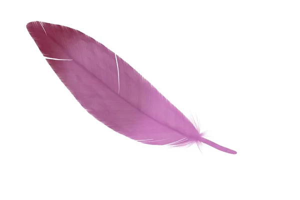 手描きの羽根イラスト ふわふわの羽だ 招待状結婚式のカード 素朴な羽明るい色 — ストック写真