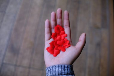 Sevgililer günü aşkı konsepti. Kopya alanı elinde Red Hart