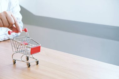 İnternet alışveriş konsepti için dizüstü bilgisayarı olan kadın ve küçük alışveriş arabası