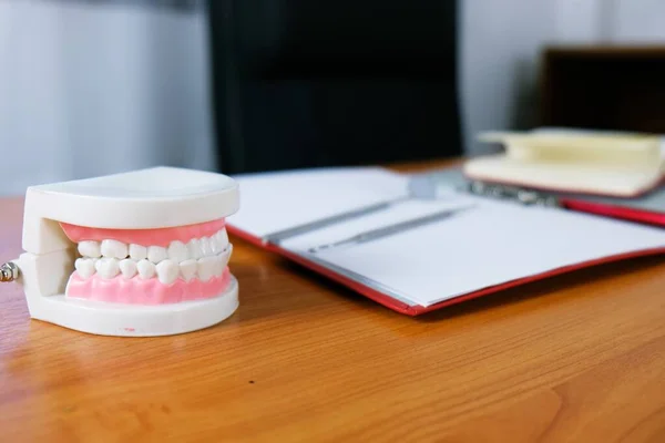 Dente Sano Bianco Con Modello Dentale Nel Concetto Assistenza Sanitaria — Foto Stock