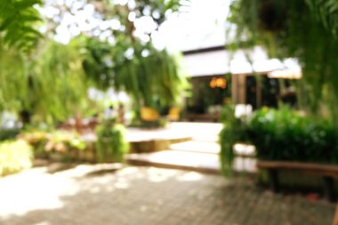 Bokeh Ormanı 'nın arka plan bulanıklığı. bahçe ve güneş ışığına sahip park, perspektifli arka plan için kullan