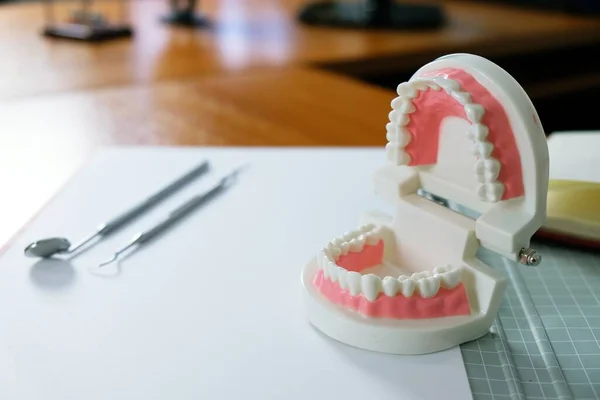 口腔医療の概念で歯科モデルと白い健康な歯 — ストック写真