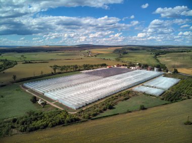 Erken meyve ve sebzeler için sera. Hava fotoğrafı.