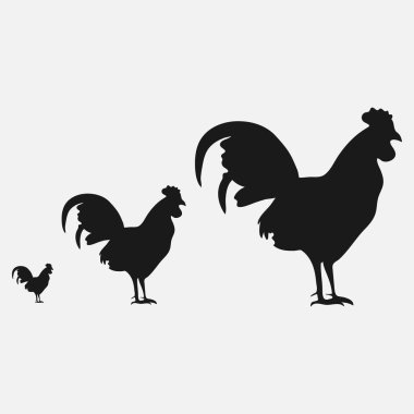 Seamless modeli güzel