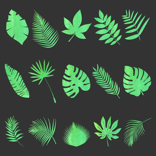 Set of leaves — Stock Vector