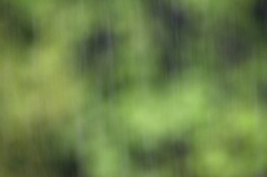 Arka planda bulanık yaz yağmuru