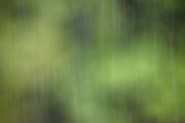 Arka planda bulanık yaz yağmuru