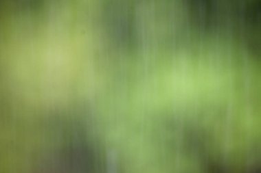 Arka planda bulanık yaz yağmuru