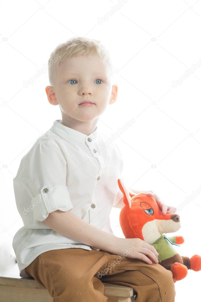 little boy with toy Fox in hand on white background