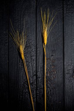 Yatay bileşim. Buğday kulaklı, siyah tahtalı bir yaşam. Aile mutluluğu kavramı